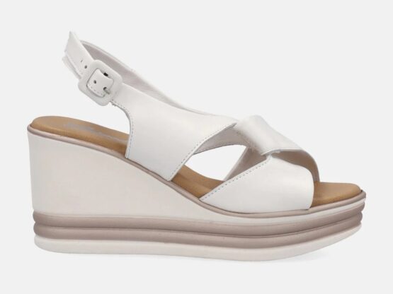 2418 Susimoda
